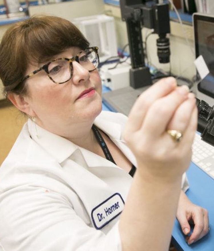Professor Receives Nearly $500K NIH Grant To Study Neural Mechanisms Related To Drug Addiction