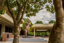 The bear statue on the Atlanta campus.