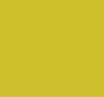 mustard swatch