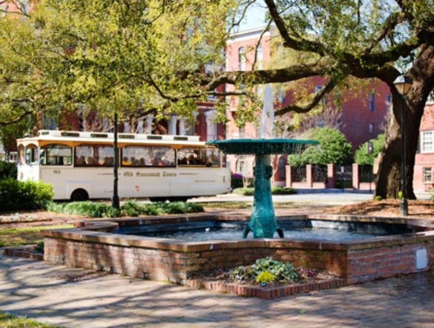 Savannah fountain