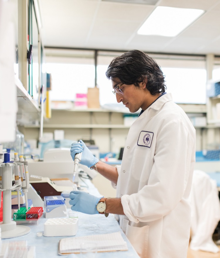 A male Mercer medical students works in a lab