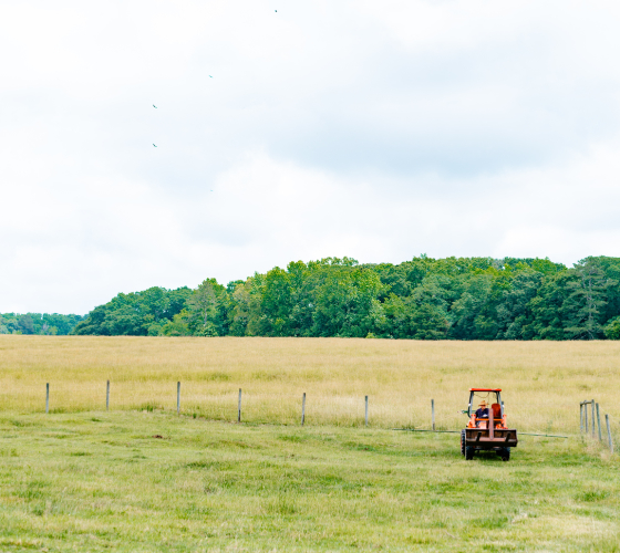 A tractor drives on grassy farmland