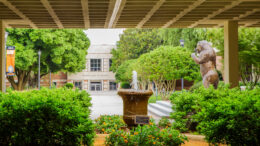 A garden on Mercer's Atlanta campus