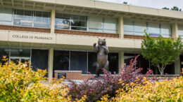 Bronze bear on Mercer's Atlanta campus