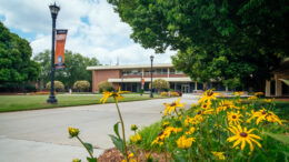 Flowers on the Atlanta campus