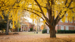 Mercer's Macon campus in fall