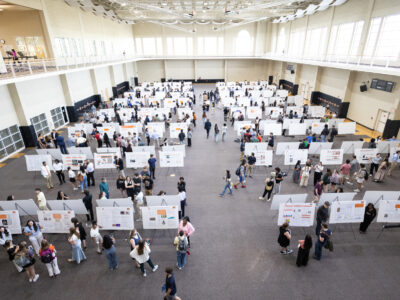 An aerial view of a room with dozens of research posters set up and people milling around during BEAR Day.