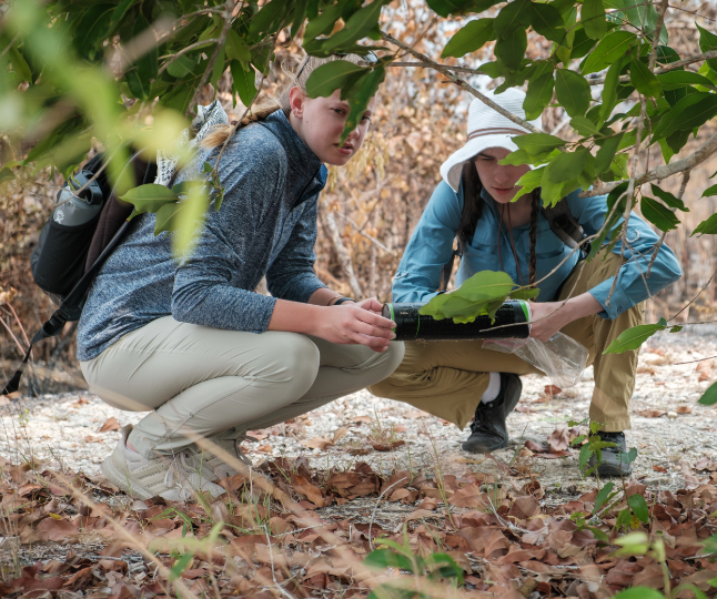 Two Mercer students crouch in a wooded area in Belize.