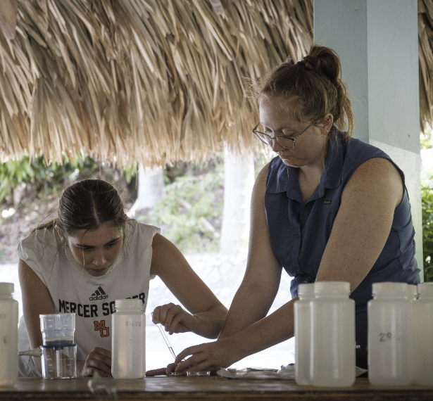 Two women work together at a table with lab equipment and plastic containers under a thatched roof.